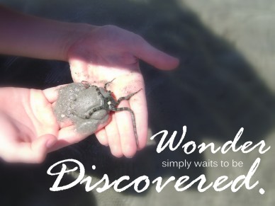 Wonder Discovered