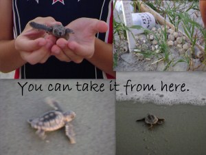 you can take it from here