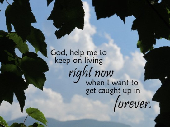 caught up in forever